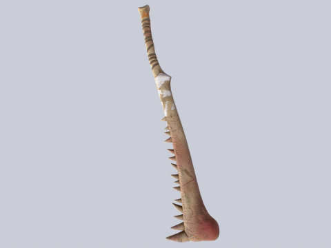 Kemik bı&ccedil;ağı 3D Model