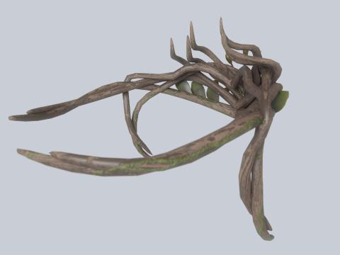 Nature crown Modèle 3D