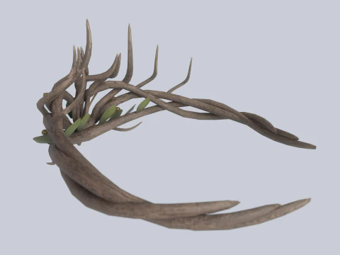 Natuur kroon 3D Model