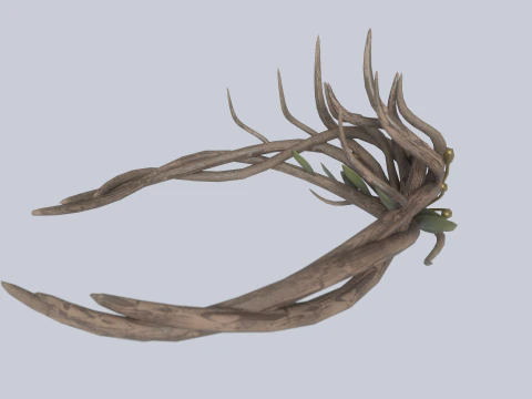 Natuur kroon 3D Model