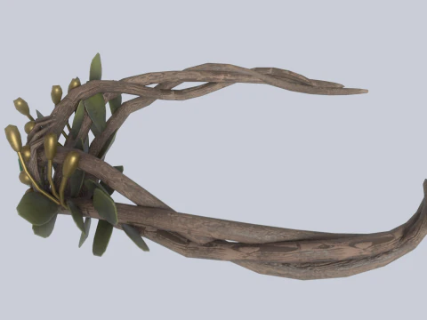 自然の王冠 3Dモデル