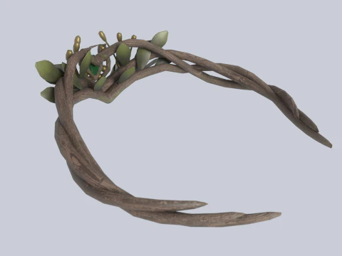 自然の王冠 3Dモデル