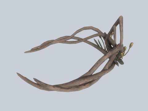 Nature crown 3D मॉडल