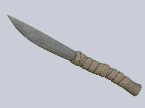 Arma do homem das cavernas Modelo 3D