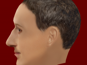 Mark Zuckerberg Low Poly Head 3D-Modell