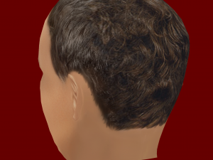 Mark Zuckerberg Low Poly Head 3D-Modell