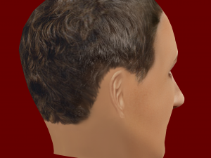 Mark Zuckerberg Low Poly Head 3D-Modell