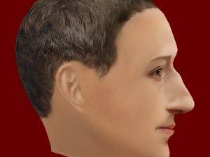 Mark Zuckerberg Low Poly Head 3D-Modell