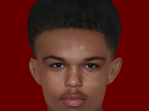 Shola Shoretire Head - Low poly head for game 3D Model