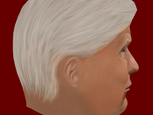 Low Poly Head of the President - Donald Trump 3D Model