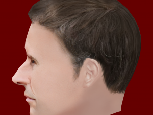 Low Poly Head of the President - Emmanuel Macron 3D Модель
