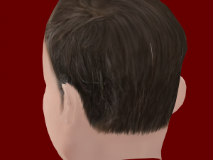 Low Poly Head of the President - Emmanuel Macron 3D Модель