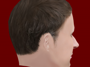 Low Poly Head of the President - Emmanuel Macron 3D Модель