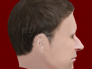 Low Poly Head of the President - Emmanuel Macron 3D Модель