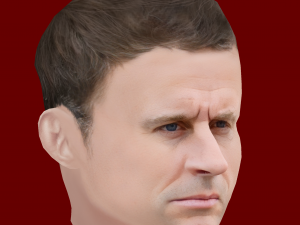 Low Poly Head of the President - Emmanuel Macron 3D Модель