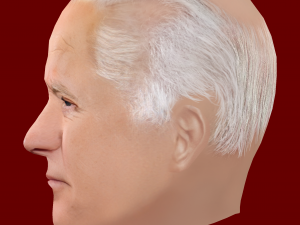 Low Poly Head of the President - Joe Biden 3D 模型