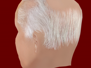 Low Poly Head of the President - Joe Biden 3D 模型