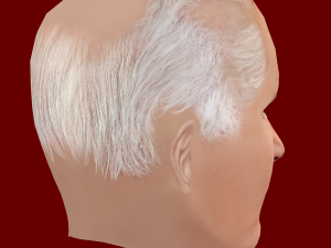 Low Poly Head of the President - Joe Biden 3D 模型