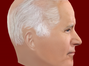 Low Poly Head of the President - Joe Biden 3D 模型