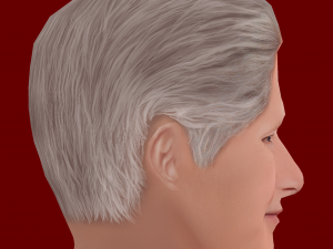 Low Poly Head of the President - Bill Clinton Modèle 3D