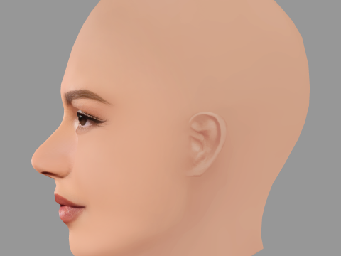 Zendaya Head - No Hair - Low poly head for game 3D 模型