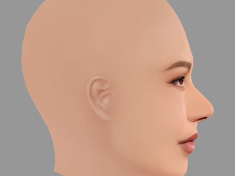 Zendaya Head - No Hair - Low poly head for game 3D 模型