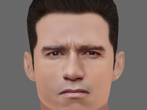 Arnold Schwarzenegger Head - Low poly head for game Modelo 3D