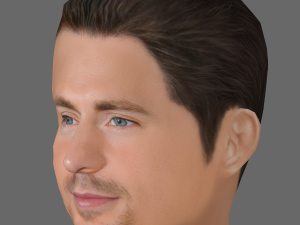 Chris Evans Head - Low poly head for game Modelo 3D