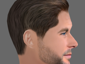 Chris Hemsworth Head - Low poly head for game Model 3D