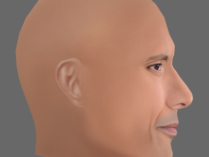 Dwayne Johnson Head - Low poly head for game Model 3D