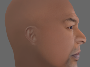 Mike Tyson Head - Low poly head for game 3D Model