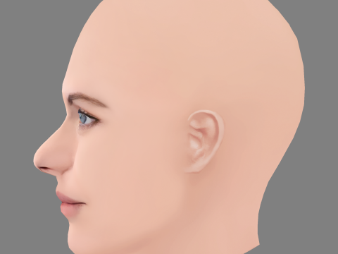 Alexandra Daddario Head - No Hair - Low poly head for game 3D Model