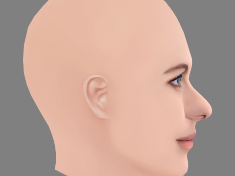Alexandra Daddario Head - No Hair - Low poly head for game 3D Model