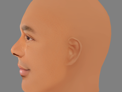 Alonzo Bodden Head - Low poly head for game 3Dモデル