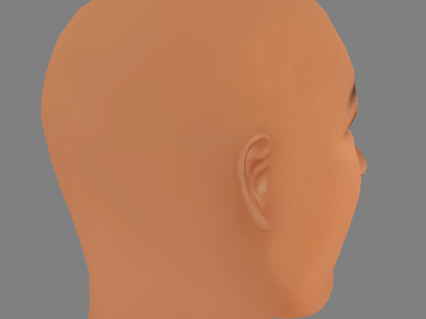 Alonzo Bodden Head - Low poly head for game 3Dモデル