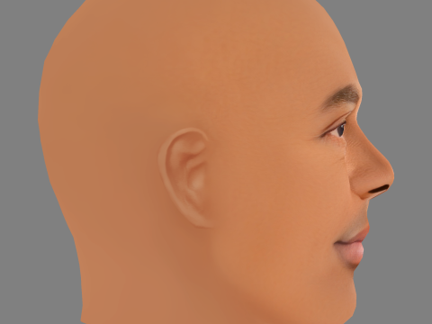 Alonzo Bodden Head - Low poly head for game 3Dモデル