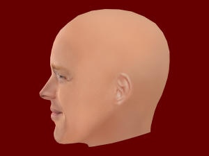 Bill Burr Head - Low poly head for game 3Dモデル