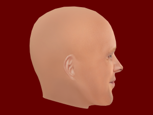Bill Burr Head - Low poly head for game 3Dモデル