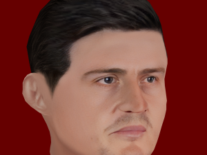 Harry Maguire Head - Low poly head for game 3D Model