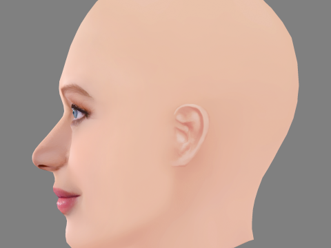 Jennifer Lawrence Head - No Hair - Low poly head for game 3Dモデル