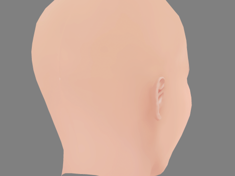 Jennifer Lawrence Head - No Hair - Low poly head for game 3Dモデル