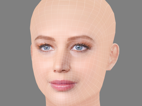 Jennifer Lawrence Head - No Hair - Low poly head for game 3Dモデル