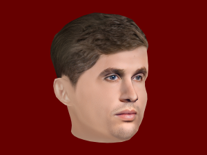John Stones Head - Low poly head for game 3D 모델