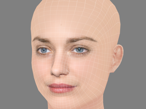 Marion Cotillard Head - No Hair - Low poly head for game 3Dモデル