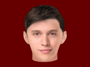 Nick Robinson Head - Low poly head for game 3D Model