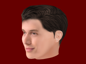 Nick Robinson Head - Low poly head for game 3Dモデル