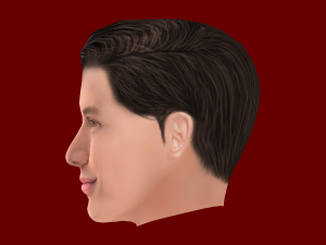 Nick Robinson Head - Low poly head for game 3Dモデル