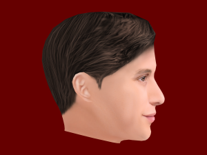 Nick Robinson Head - Low poly head for game 3Dモデル