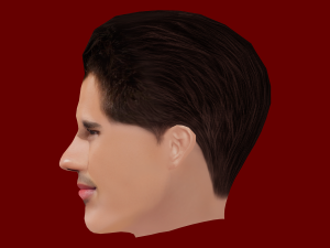 Taylor Lautner Head - Low poly head for game 3Dモデル