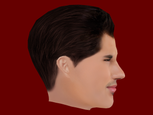 Taylor Lautner Head - Low poly head for game 3Dモデル